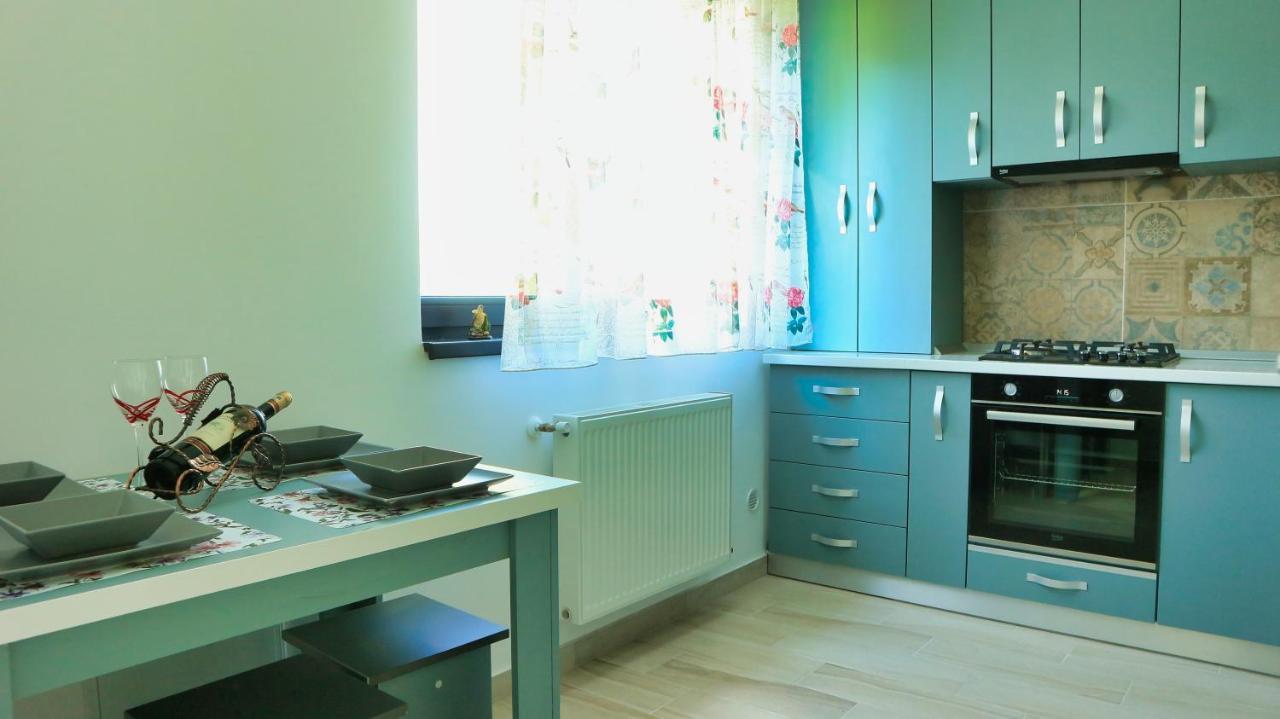 Cozy Flowers Studio - Fast Wi-Fi & Washer-Dryer 布拉索夫 外观 照片